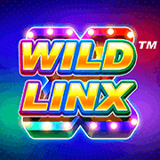 LIên Kết Thần Bí game cover